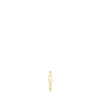 Piercing aro de oreja Basics oso de oro^TOUS Hot